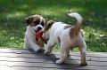 120920_bolt hugo2